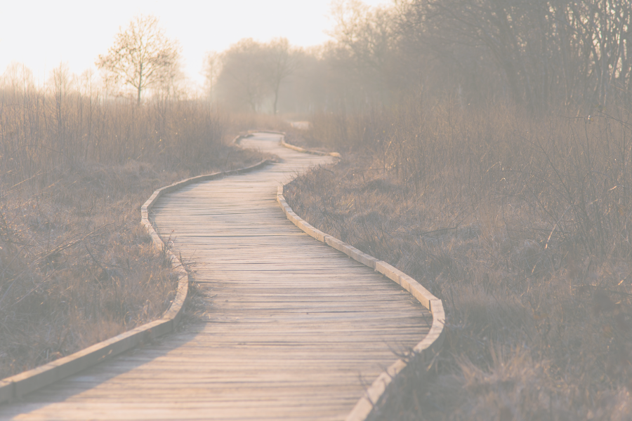 Read more about the article Seek His Will in All You Do