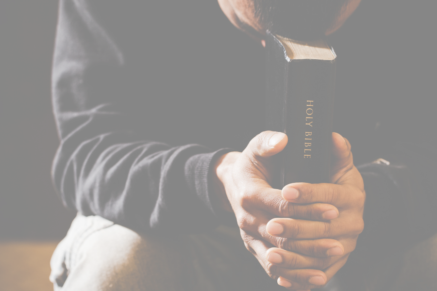 Read more about the article Where do you put your trust?