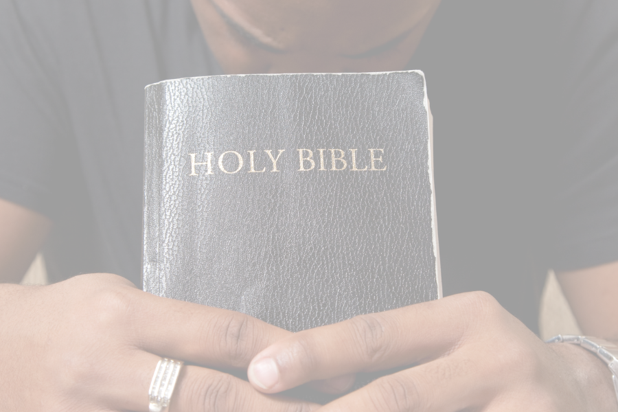Read more about the article Jesus Heals Hearts